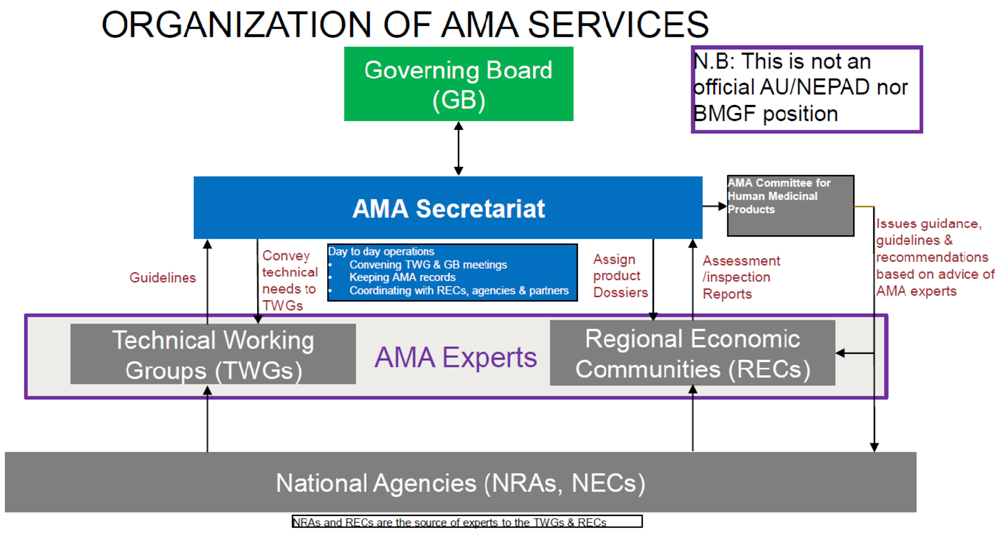 Organization of AMA Services