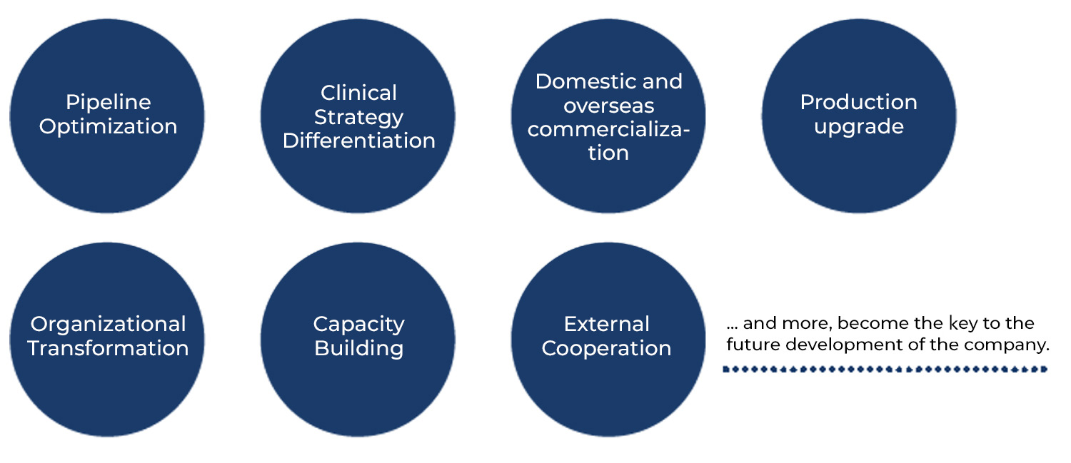 diagram illustrating future critical phases of development