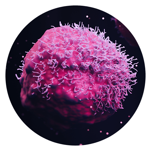 image of a cancer cell