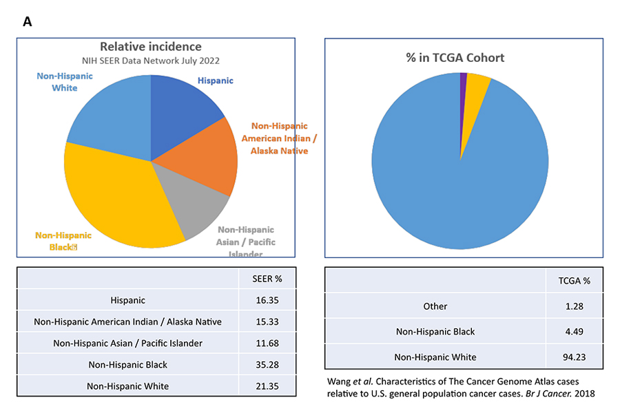 Comparison of ethnic and racial compositions of prostate cancer between SEER data and TCGA