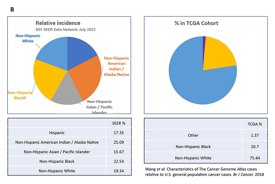 Comparison of ethnic and racial compositions of colon cancer between SEER data and TCGA