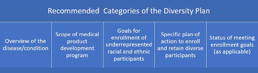 A blue visual representation chart of Recommended Categories of the Diversity Plan containing five descriptions